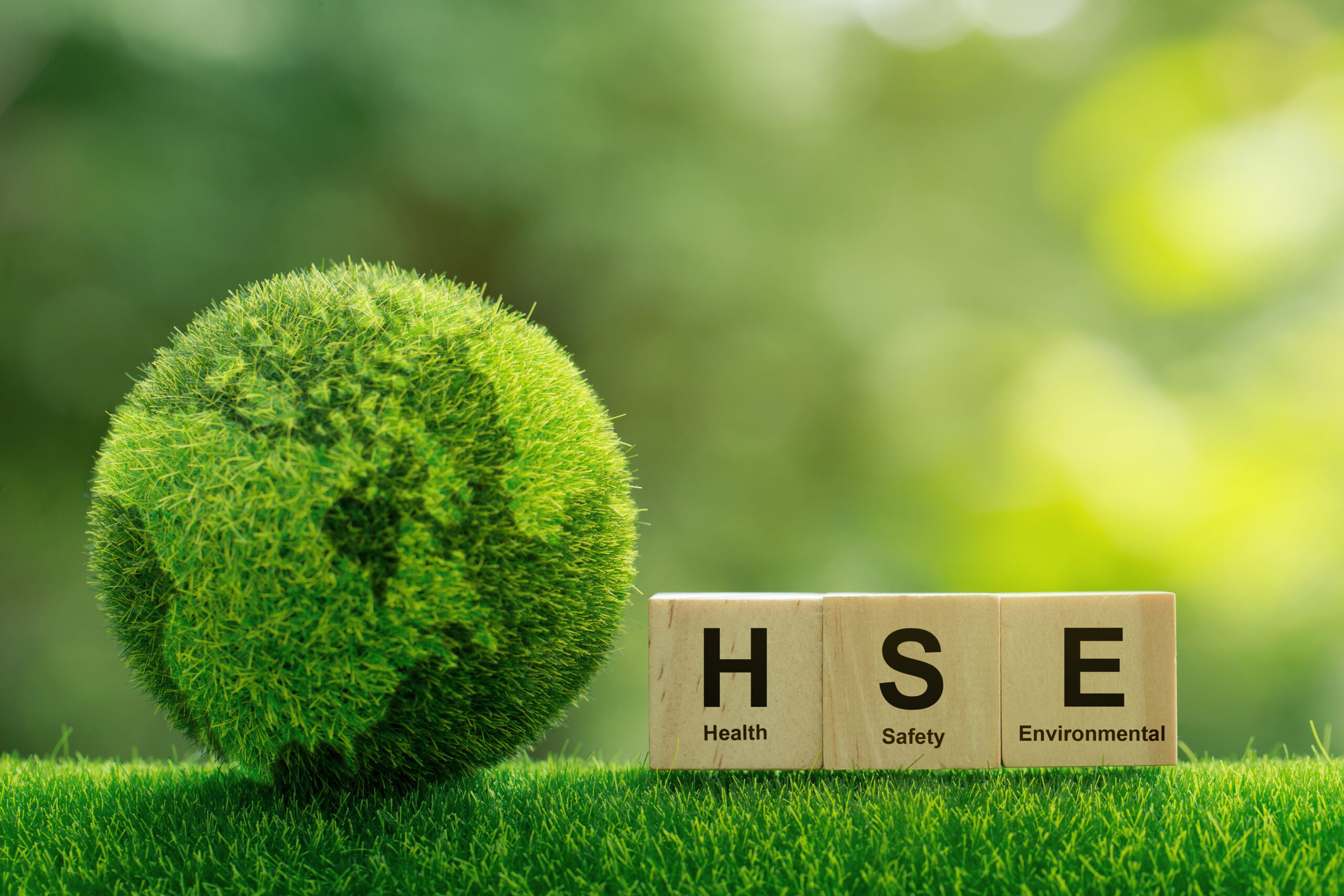 Hse Culture Photos and Images | Shutterstock